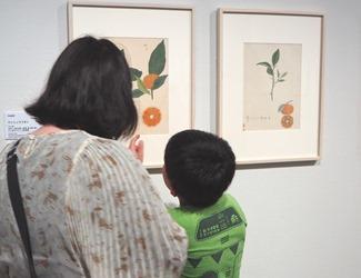 展示室で植物がをみているところ。