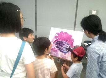 絵とスプーンを見ているところ