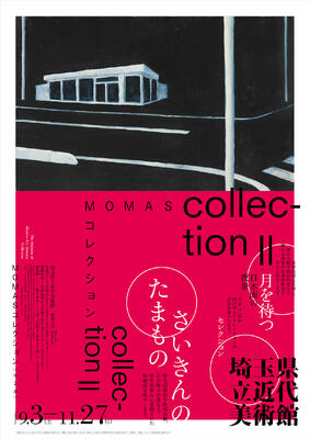 Amazon.co.jp: 「目でみる埼玉百年」昭和46年 埼玉百年記念誌