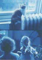 ジョナス・メカス《ウーナ・メカス 5才 猫とホリス（母）の前でヴァイオリンの稽古　1979》