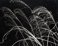 野島康三《薄、軽井沢にて》1941年（京都国立近代美術館蔵）