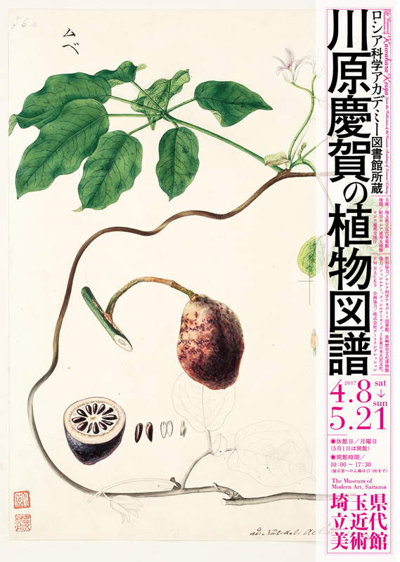 川原慶賀の植物図譜展チラシ
